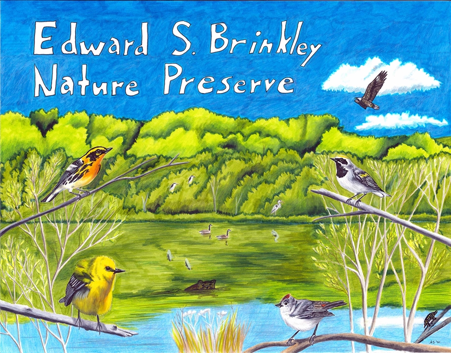 Continuing Ed: Edward S. Brinkley Nature Preserve Walk