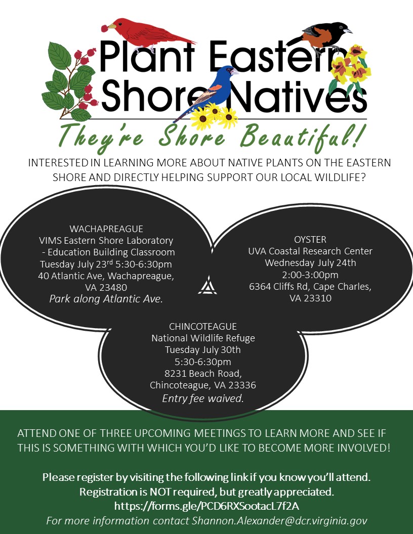 🧤Volunteer: Plant Eastern Shore Natives Ed & Outreach Info Session